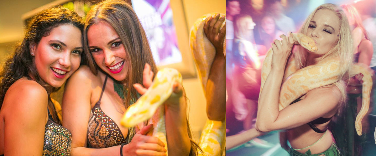 Burlesque performer with snake